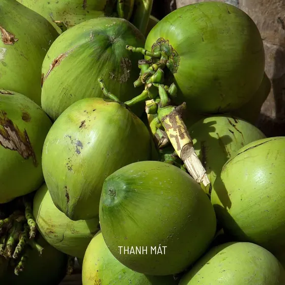 Fresh coconuts